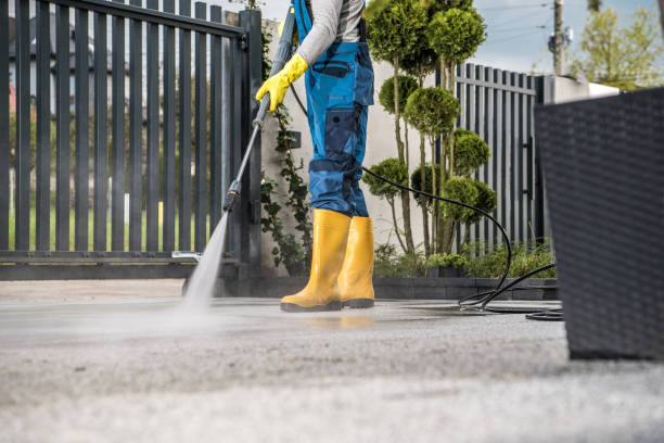 Best Roof Pressure Washing  in Lamar, TX